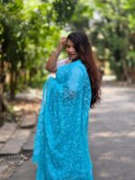 Tepchi Chikankari Saree