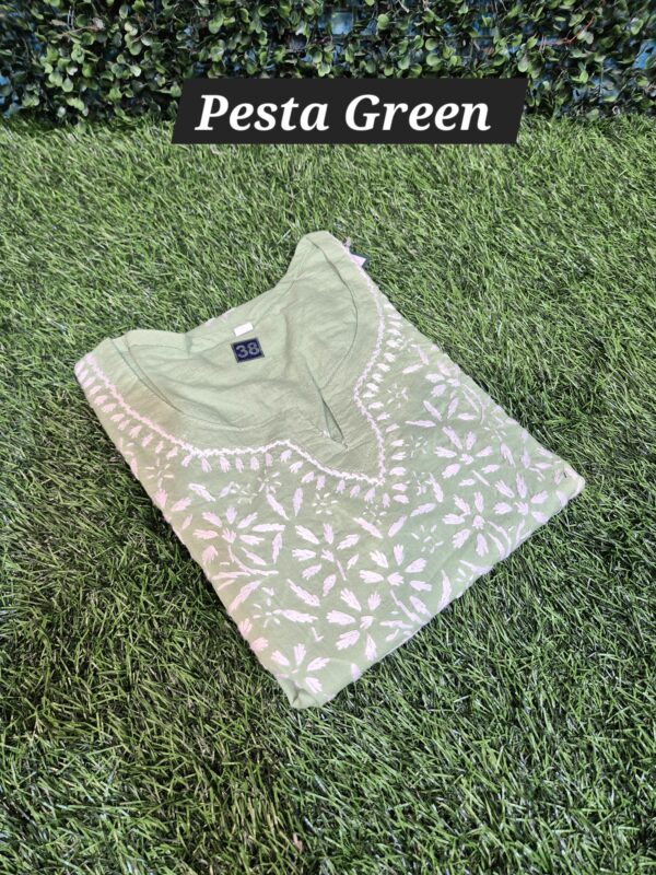 Chikankari Short Top