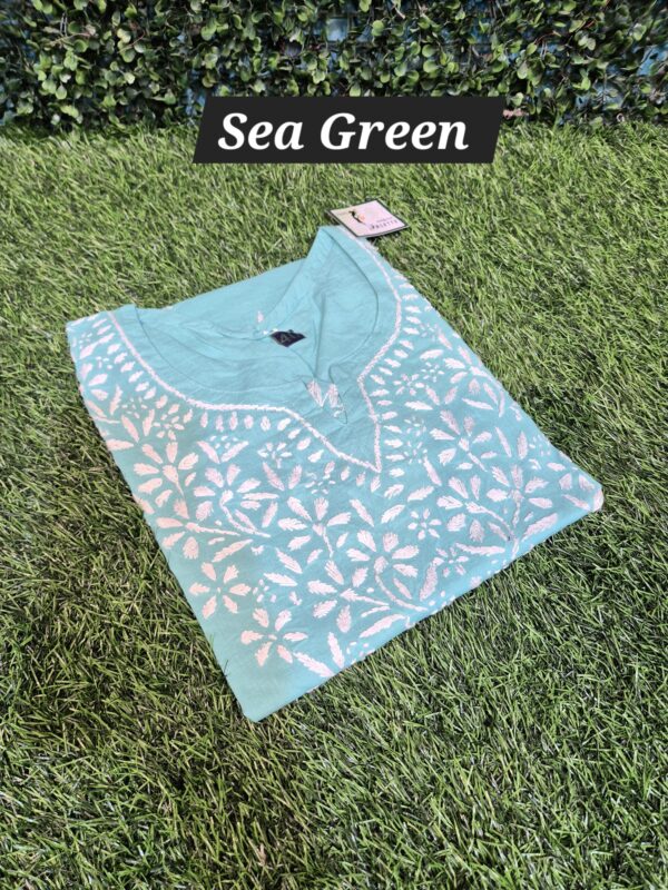 Chikankari Short Top