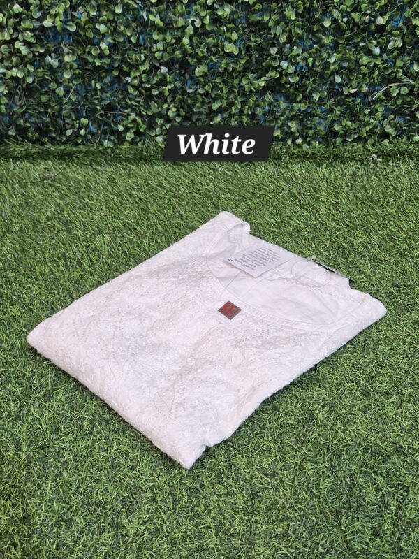 Cotton Ombre Chikankari Short top