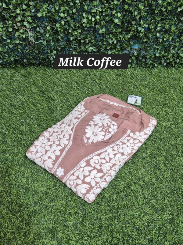 3D modal chikankari with chinese coller