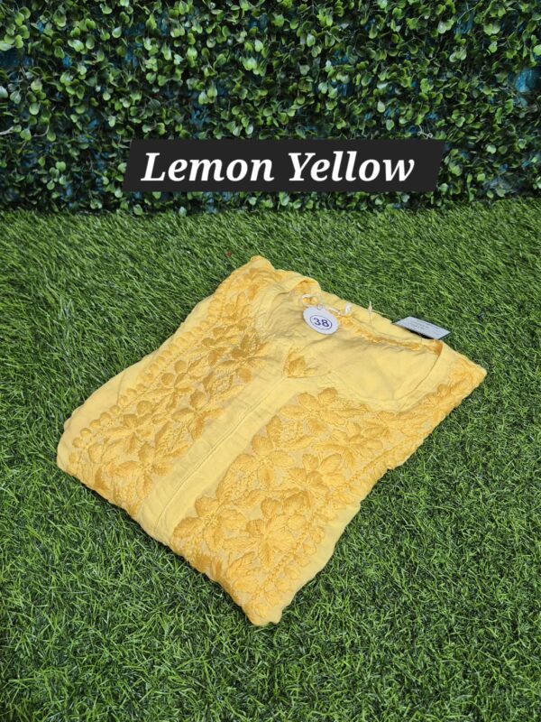 3D modal chikankari cutwork tone-tone
