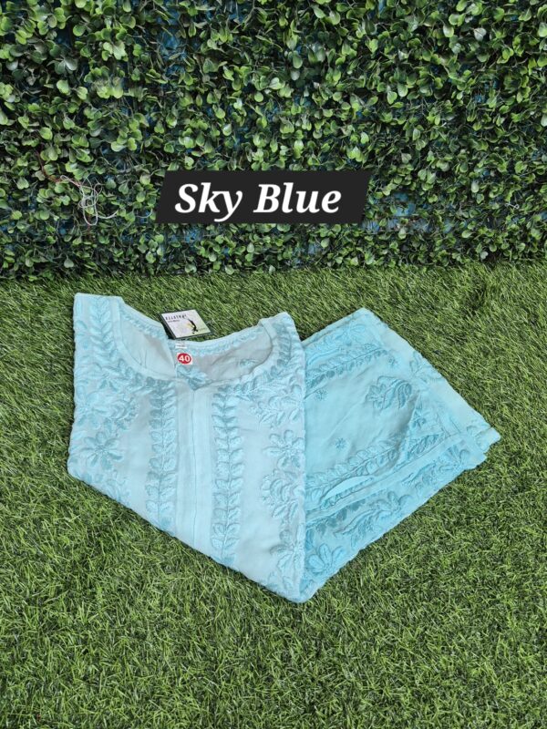 Viscose ombre 3d work chikankari