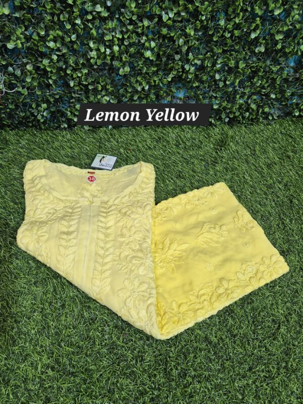 Viscose ombre 3d work chikankari