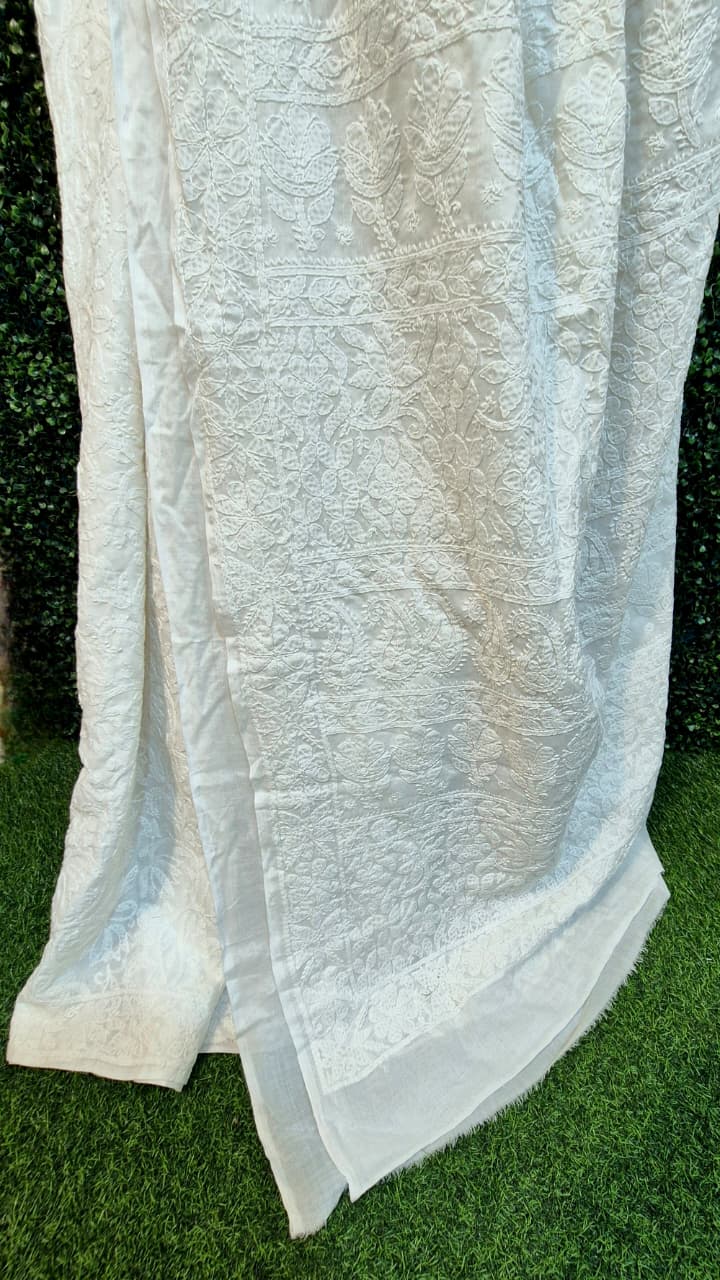 Cotton full jaal chikankari saree