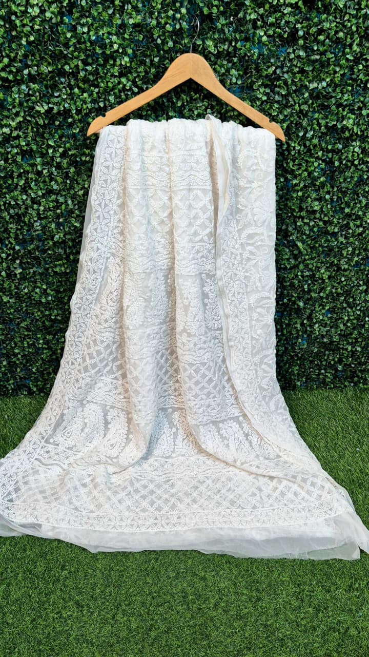 Gorget Chikankari saree full jaal