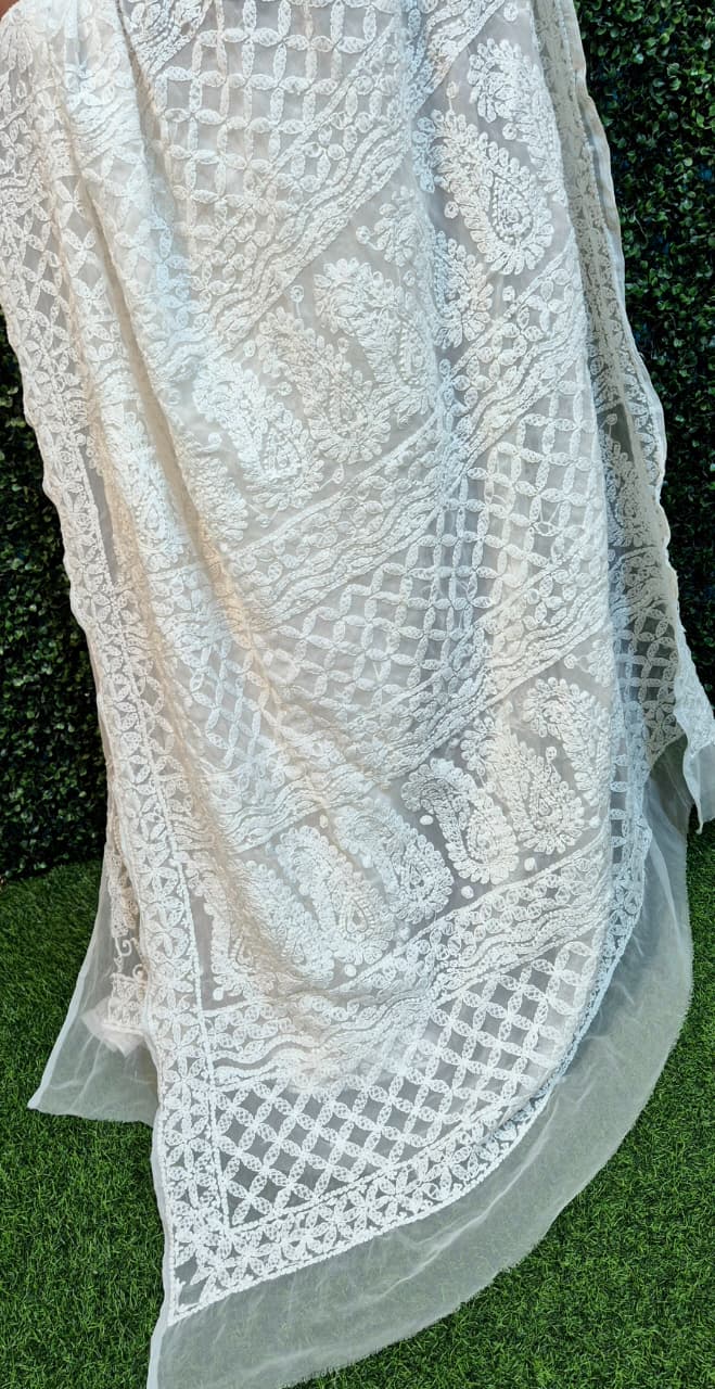 Gorget Chikankari saree full jaal