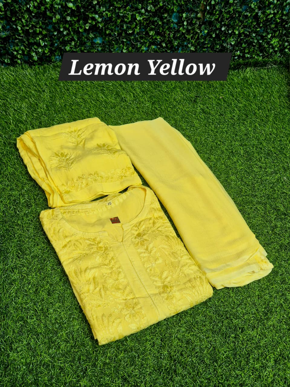 Chikankari Rayon self  3 pc set