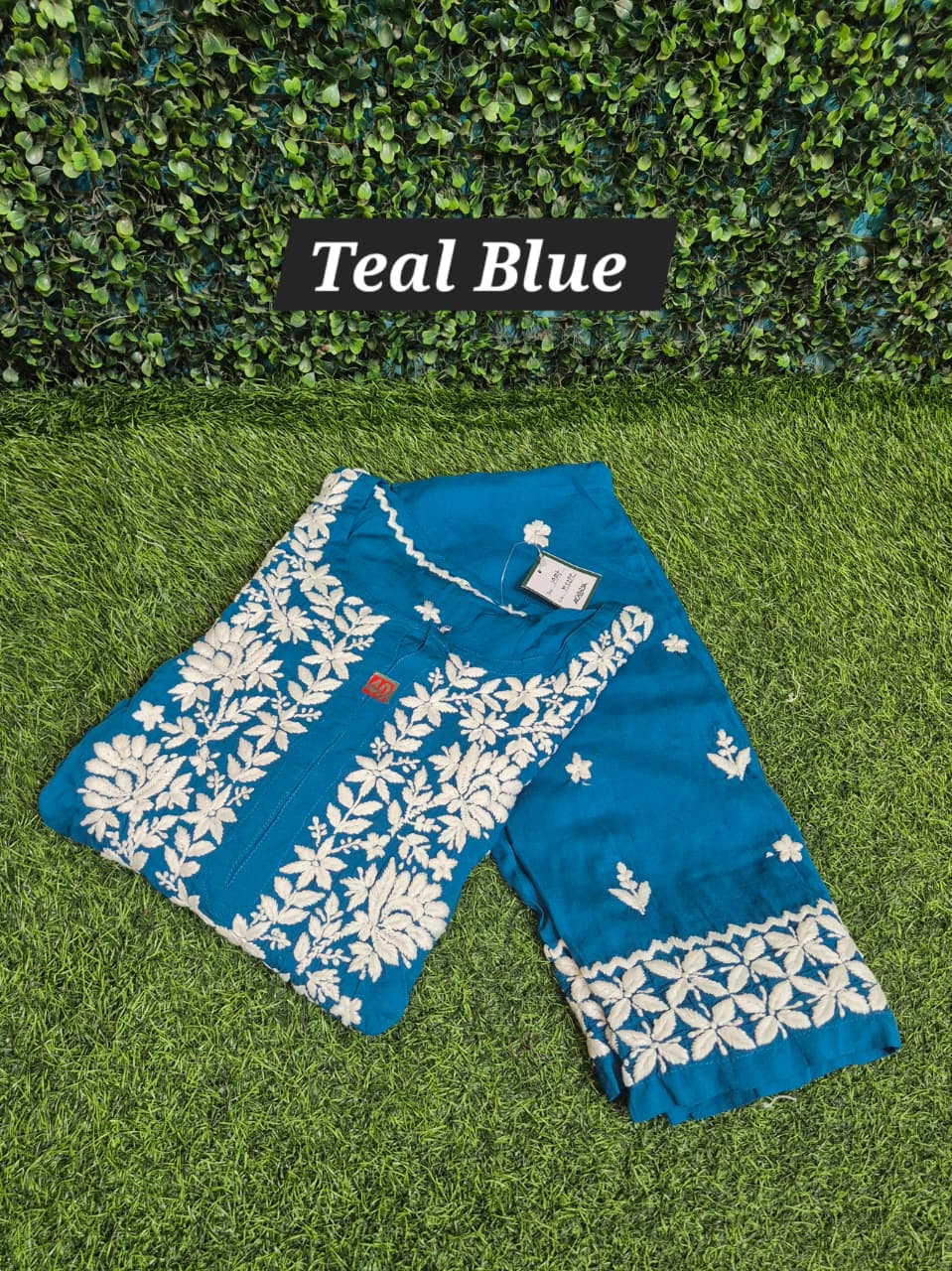 Chikankari modal 2pc set