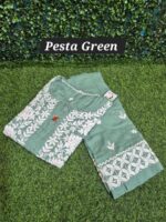 Chikankari modal 2pc set - Image 9