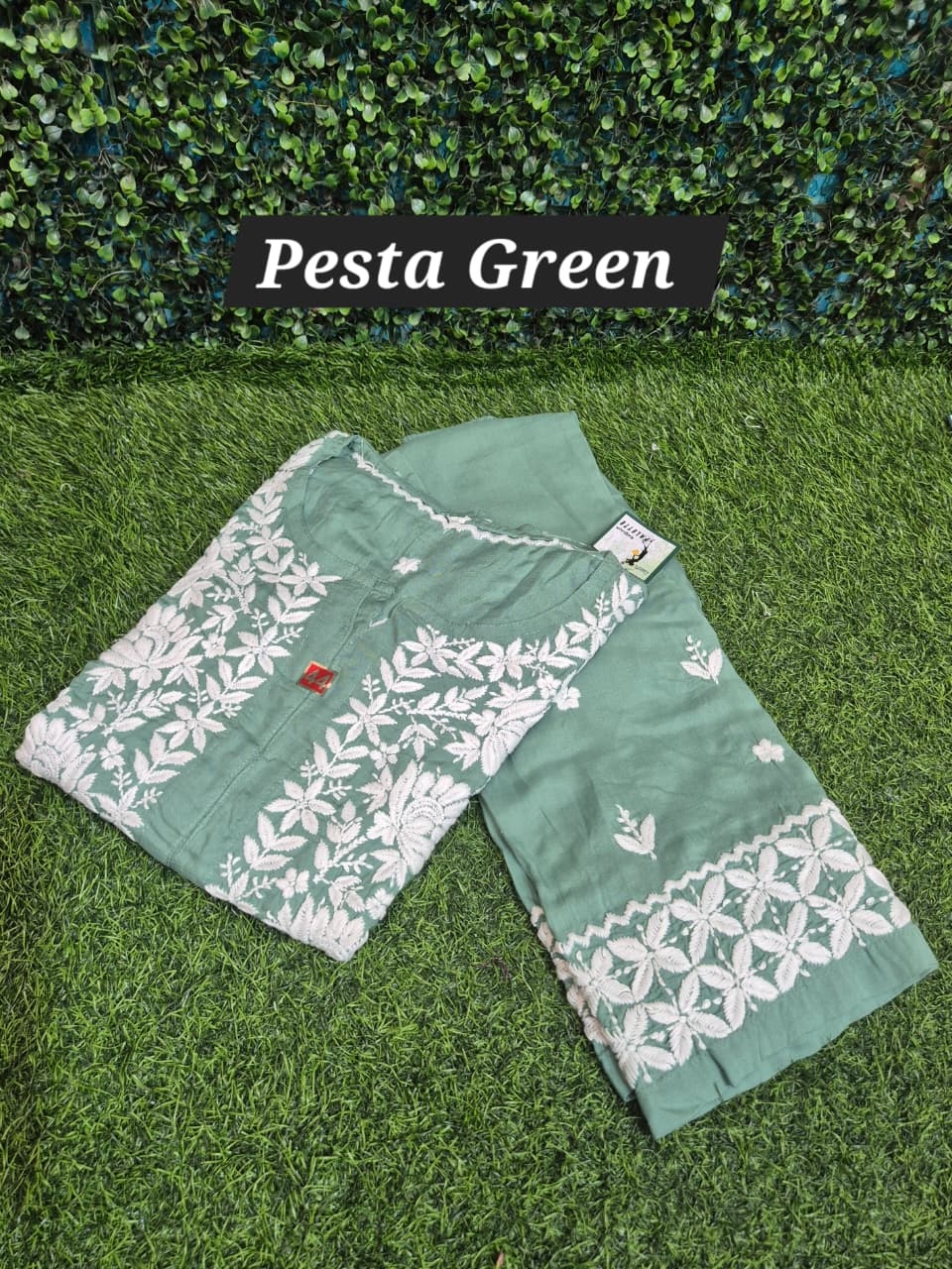 Chikankari modal 2pc set