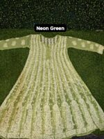 Lucknowi Chikankari Embroidery Georgette Anarkali Kurti - Image 8