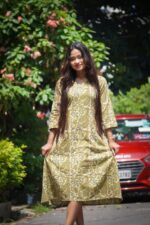 Natural Vanaspati Bagru Handblock Aline Dress - Image 4