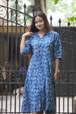 Bagru Indigo Handblock Plitied Dress