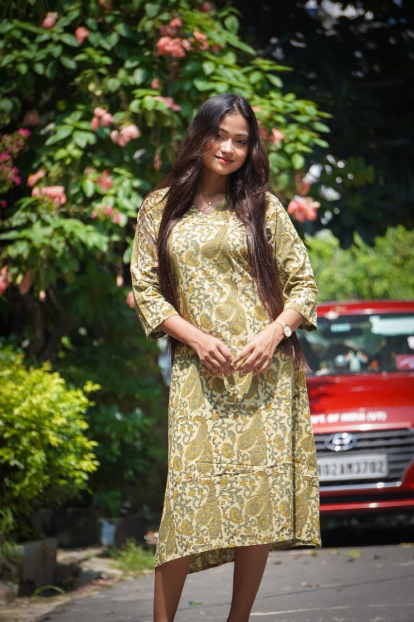 449ac714-4d50-42b8-a037-69ed4396d338 Natural Vanaspati Bagru Handblock Aline Dress - Image 1