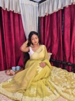 Designer Saree Premium Work