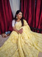 Full Jaal Premium Chikankari  Saree - Image 4