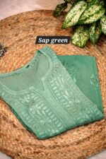 Chikankari Self modal Ombre design - Image 9