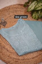 Chikankari Self modal Ombre design - Image 6